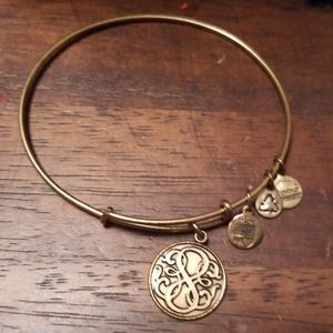 🎄Alex And Ani Bracelet